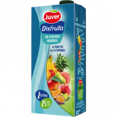  NECTAR DISFRUTA 10 FRUTAS+10VI JUVER 2 L 