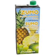 ZUMO PIÑA COVIRAN BRIK 1 L